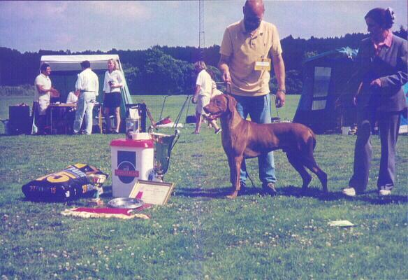Scout Best in Show Specialty